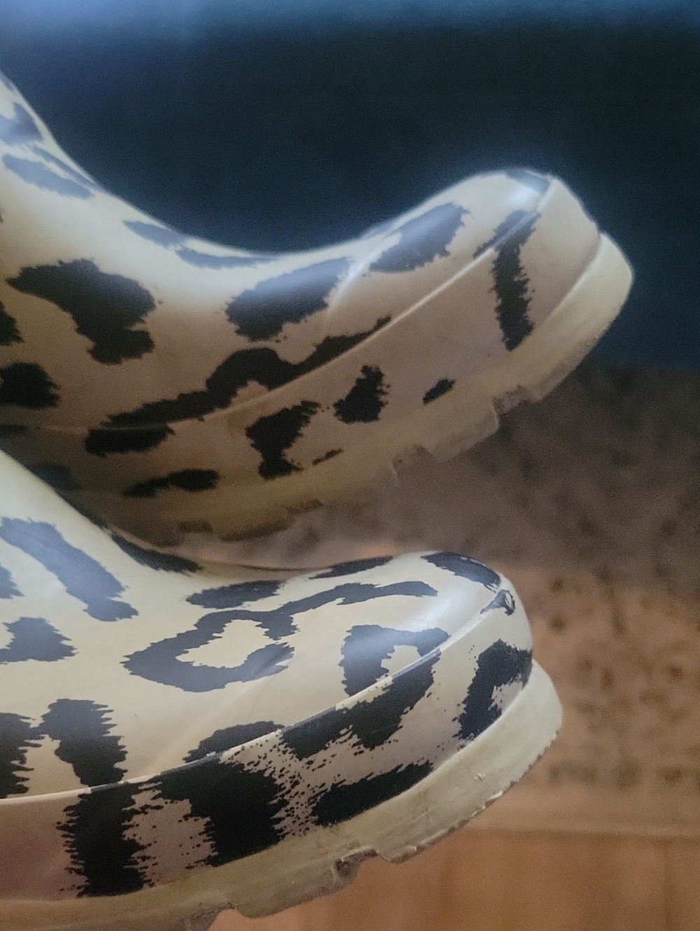 Hunter Leopard-Print Tall Rain Boots in Cream and Black. Girls Size 3 - Picture 7 of 7
